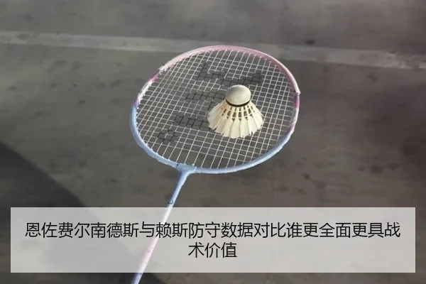 恩佐费尔南德斯与赖斯防守数据对比谁更全面更具战术价值